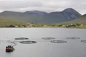 Luib seen from across Loch Ainort