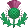 National Flower: Thistle