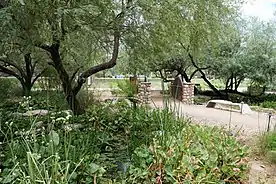 Scottsdale Community College “Two Waters Circle” riparian ecosystem area.