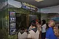 Boy Scouts attending the opening of the Caribbean National Wildlife Refuge Complex and Caribbean Ecological Service Field Office in Boquerón