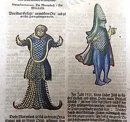 #1 (c. 1546)Painted woodcuts of the sea monk (#1; left) and sea bishop (the latter also thought by some to be based on a giant squid), issued in 1669 and based on Conrad Gessner's originals from 1558 (themselves based on Rondelet's).