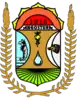 Official seal of Angostura