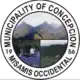 Official seal of Concepcion