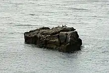 Seghy island viewed from the coast path to the north