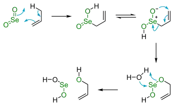 Scheme 1. Selenium dioxide oxidation