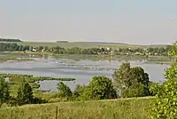 View on Malashivtsi