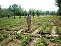 A farmer applying pesticides to his crop