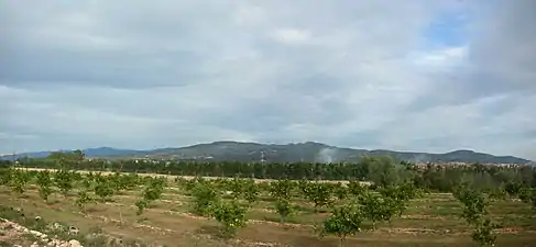 Serra de Collredó range seen from an orange grove in Mianes