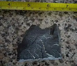 Dark organic shaleChipaque Formation