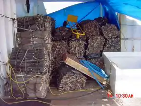 Small tied bales of flat gray objects, messily stacked underneath a translucent tentlike roof between white walls. The time "10:30" is in a red timestamp at the lower right