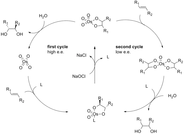 Catalytic cycle of the Sharpless asymmetric dihydroxylation