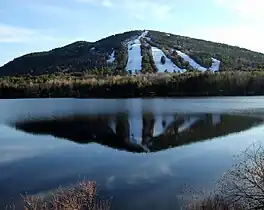 Seen across Moose Pond, Spring 2009.