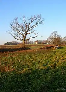 Shelley's Folly