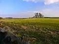 Shennanton. View across open farmland at Shennanton. Cairn in front of tall trees.