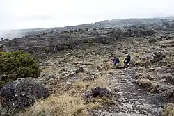 Shira Plateau, Siha District