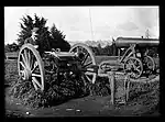 Showing two artillery guns in Albert Park, taken October 1898.