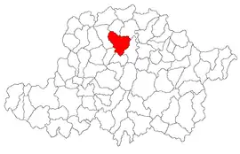 Location in Arad County