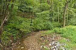 Creek on Rays Hill in State Game Lands 49