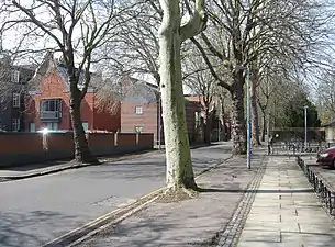 Sidgwick Avenue with Newnham to the left and the Sidgwick Site to the right