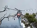 Sikorsky S-64 Aircrane Erickson water bomber