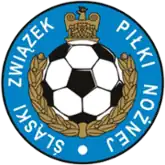 Shirt badge/Association crest