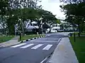 Example of Belisha beacons at a zebra crossing in Singapore