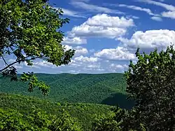 View from a lookout of green tree-covered mountains under a blue sky with white clouds