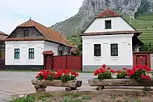 Two old houses with white facades, flower pots in front