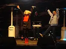 Skater performing in Maribor on New Year's Eve, 2008–09