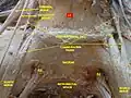 Lumbar and sacral plexus. Deep dissection.Anterior view