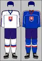 2002 Olympic jerseys, 2001–2004 IIHF jerseys