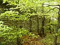 The castle ruins are largely immersed in vegetation