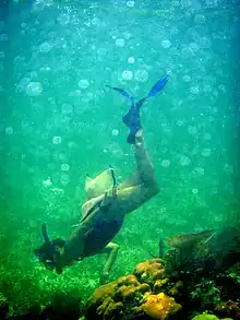 Snorkeling at the Belize Barrier Reef