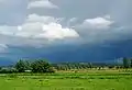 View of the Somerset Levels from the River Parrett Trail