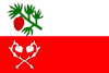 Flag of Sosnová