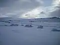 Dartmoor was blanketed with deep snow