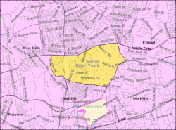 U.S. Census map