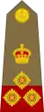 Brigadier