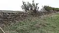 Stone fence on the coastal path