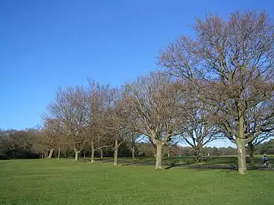 Image 12Trees on Southampton Common in winter (from Portal:Hampshire/Selected pictures)