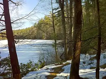 Frozen pond