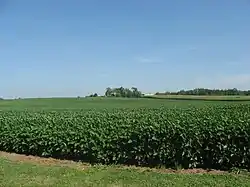 Richland Township is generally a flat area of farm fields.