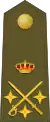 Teniente general(Spanish Army)