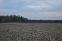 Agricultural scene on Sperry Road