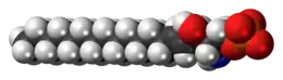 Space-filling model of the sphingosine-1-phosphate anion