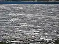 Tree mats on Spirit Lake, 2012