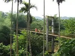 The hanging spring bridge over the Bheemanadi in West Elerithattu.