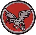 118 Squadron shoulder patch