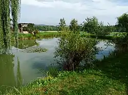 A pond in Střítež