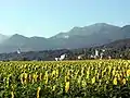 St. Peter's (the district of St. Jakob im Rosental) with mountain in the background